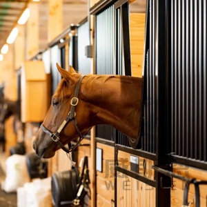 Duurzame Paardenstalling Voorpaneel Paardenstallen Voor Paardenstallen Geprefabriceerde Kraampjes Professionele Paardenfaciliteiten - Product Image 5