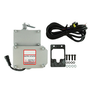 ตัวกระตุ้นไฟฟ้า Populace รุ่น ACD175A 24V ชุดควบคุมเครื่องกำเนิดไฟฟ้าแบบภายนอก - Product Image 5