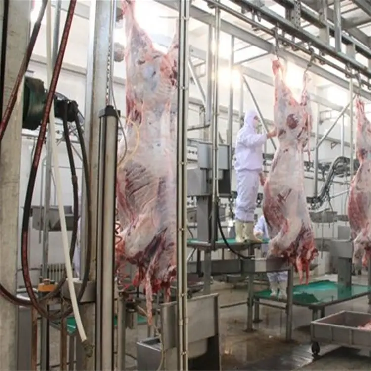 Hight quality cattle slaughter equipment line pig slaughter machine abattoir equipment Butcher equipments