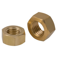 Produsen Pengikat ASME B18.2.2 Mur Heksagonal Baja Tahan Karat S31653 X2CrNiMoNl7-11-2 1.4406 UNC UNF Mur Heksagonal Kustom