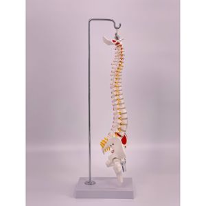 45CM - Product Image 5