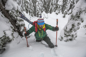 Bâtons <span class=keywords><strong>de</strong></span> <span class=keywords><strong>ski</strong></span> rétractable, pôle en alliage d'aluminium anti-choc, modèle nordique, pour le <span class=keywords><strong>ski</strong></span>, en plein air - Product Image 6