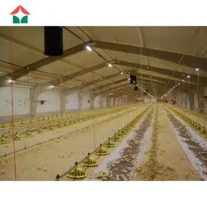 Günstige Huhn Geflügels tall Konstruktion Stahl konstruktion Mobile Geflügel haus