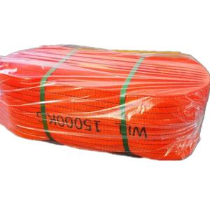 맞춤형 50 톤 고강도 폴리에스터 플랫 웨빙 슬링 - Product Image 2