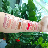 Kit de maquillage pour les lèvres imperméable longue durée sans logo de marque privée à bas quantité minimale de commande en gros