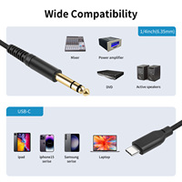 Adaptateur USB TYPE-C vers prise jack 6,35 mm stéréo (1/4 TRS) avec puce numérique intégrée pour instruments