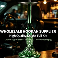 Chicha Mini Européenne de 19 Pouces en Aluminium et Verre, Style Russe, avec Tuyau, Plateau, Pinces, Boîte Cadeau Portable et Accessoires