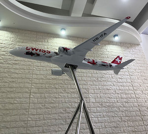 Modelo de Avión <span class=keywords><strong>Airbus</strong></span> <span class=keywords><strong>A350</strong></span>-<span class=keywords><strong>900</strong></span> de Swiss a Escala 1:55 para Coleccionistas - Material de Resina, Decoración de Exhibición de Gran Tamaño - Product Image 6