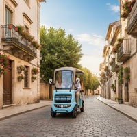 Fournisseur chinois de scooter électrique à 4 roues, véhicule de mobilité électrique, quad électrique pour les stations balnéaires