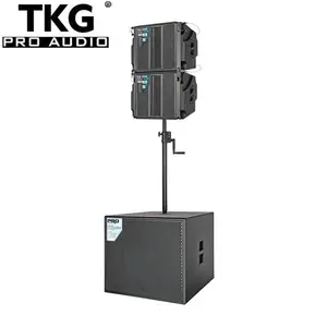 TKG EX-10 alto-falante caixa de 10 polegadas 500 W único, mini alto-falante coaxial de matriz linear