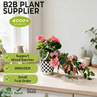 Plante artificielle suspendue rose avec étiquettes personnalisées, petite plante en pot de 35 cm, mini-vigne feuillagée pour l'ambiance de l'appartement et du jardin