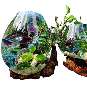 Récipients en verre Vases à fleurs pour la maison <span class=keywords><strong>Vase</strong></span> en verre nordique Terrarium Transparent Adultes avec bouteille de poisson vivant <span class=keywords><strong>Vase</strong></span> en verre - Product Image 1