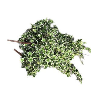 Foglie di Edera in Seta, Viti Floreali Artificiali, Rametti Decorativi Verdi, Piante Pendenti da Parete per Matrimoni, Pianta Artificiale - Product Image 5