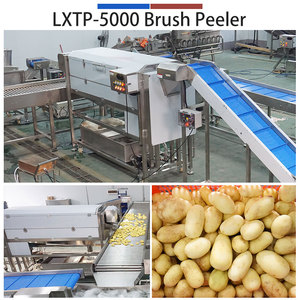 Máquina Industrial de Limpieza de Patatas con Cepillos/Cuchillas Fengxiang 0.5-1t/h, Máquina Automática Personalizada para Pelar y Pulir Patatas - Product Image 4