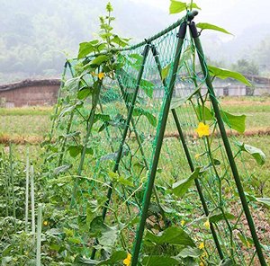 HDPE En Plastique support <span class=keywords><strong>d</strong></span>'escalade plante filet/maille de support de plante - Product Image 4
