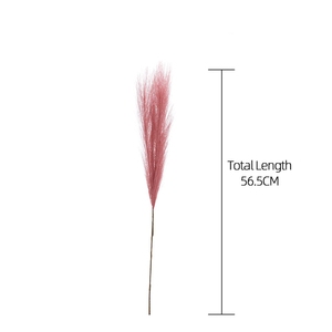 Mw85102 Giá Rẻ Nhân Tạo Mini Pampas Cỏ Duy Nhất Chi Nhánh Tổng Chiều Dài 56.5 Cm Cho Đám Cưới Trang Trí Nội Thất - Product Image 5