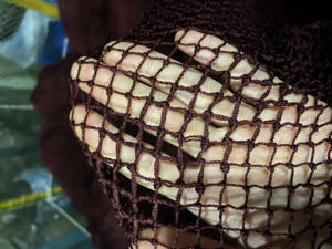 สีน้ำตาลไนล่อน<span class=keywords><strong>ปลา</strong></span>ซาร์ดีนสุทธิสี<span class=keywords><strong>แดง</strong></span>เด Pesca ที่มีราคาที่ดีที่สุด - Product Image 4