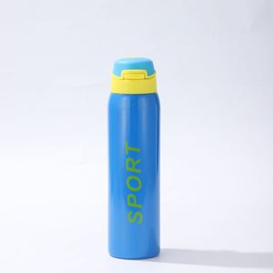 Bouteille d'eau sport isotherme portable en acier inoxydable 304 de 500 ml avec logo personnalisé, bouchon rabattable, pour activités de plein air, gym, randonnée, OEM - Product Image 3