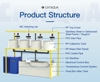 Machine d'incubation de poissons pour aquaculture, 16 bocaux, prix direct usine, pour l'éclosion des œufs de tilapia et de poisson-chat, usage en aquafarm