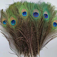 Natürlicher Pfauenfeder schwanz 25-30cm große Augen federn für Kopfschmuck Karnevals kostüme Tanzshow Party kleid Ohrring Handwerk