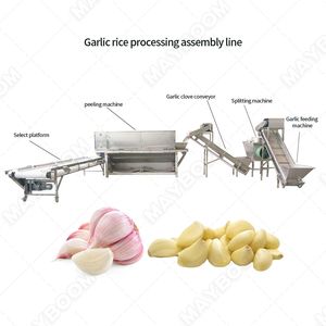 Mesin pembuat granul bawang putih kering biaya pabrik pengolahan butiran bawang putih tanaman - Product Image 4