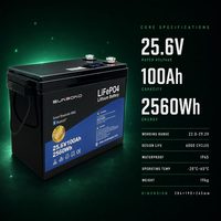 Baterai Lithium LFP 25.6V 100Ah 24V Siklus Dalam untuk Penyimpanan Energi, Sistem Surya RV, Distributor Daya Traksi Kelautan