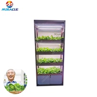 Mini système de ferme aquapnée, pouces
