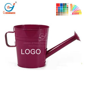 Groothandel Producten 8 Inch Metalen Gieter Plantenbak Met Handvat Voor Binnen/Buiten Plant Decor Voor Tuin Patio Gebruik - Product Image 3