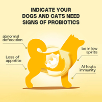 La poudre probiotique pour animaux de compagnie régulant l'équilibre de la flore intestinale convient aux compléments alimentaires pour chats et chiens