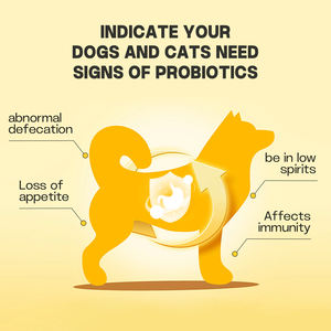 La polvere probiotica di nutrizione <span class=keywords><strong>per</strong></span> animali domestici che regola l'equilibrio della Flora intestinale è integratori alimentari adatti <span class=keywords><strong>per</strong></span> <span class=keywords><strong>cani</strong></span> e gatti - Product Image 3