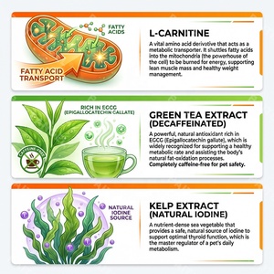 Comprimés de soutien métabolique pour animaux de compagnie de qualité supérieure, supplément de gestion du poids à base de L-Carnitine pour chiens et chats, OEM - Product Image 3