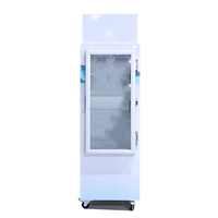 Marchandise personnalisée boîte à glace congélateur bac de stockage de glace Machine pour l'extérieur sac à glace réfrigérateur congélateur