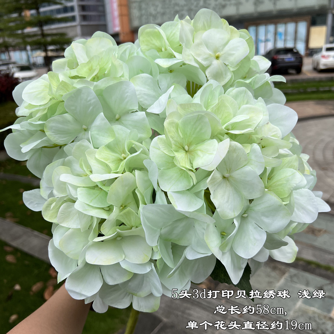 5 têtes 3d bella hortensia vert clair