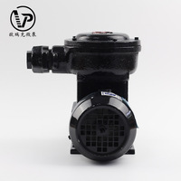 Pompe à engrenages à entraînement magnétique 380V AC, mini pompe à engrenages sans fuite pour le transfert de liquides à haute viscosité