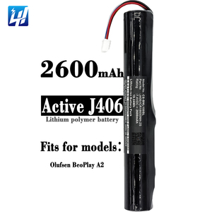 Vendita in fabbrica OEM Active J406 ICR18650NH-2S batteria altoparlante CS-BNL150SL per Bang & Olufsen BeoPlay A2 7.4V 2600mah - Product Image 6