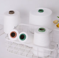 100% Polyester Yarn Ring Spun Weaving Knitting Ne 20/2 30/2 32/2 40/2 42/2 Polyester Spun Yarn