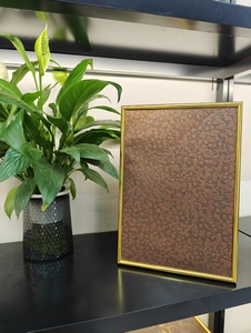 แผงสแตนเลสตกแต่งห้องโดยสารลิฟต์สแตนเลส - Product Image 2