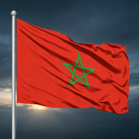 Drapeau national marocain personnalisable en gros, 3x5 pieds, 100% polyester, imprimé numériquement, anti-plis, portable pour événements sportifs