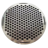 Lámina Perforada de Acero al Carbono Resistente a la Corrosión a Precio Competitivo para Componentes Automotrices y Aplicaciones de Ingeniería