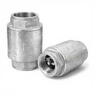 Clapet anti-retour en acier inoxydable pour système d'eau, filetage BSP 1 pouce, PN16, joint en PTFE - Product Image 1