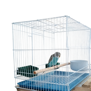 Grande cage à oiseaux en métal pour perroquets et pigeons avec plateau amovible et perchoirs – Enclos <span class=keywords><strong>d</strong></span>'élevage domestique durable - Product Image 4