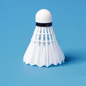 Cao cấp lông ngỗng đá cầu lông ngỗng bóng đào tạo chuyên nghiệp giải đấu sử dụng chuyến bay ổn định độ bền cao thể thao - Product Image 4