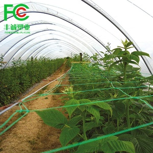 <span class=keywords><strong>UV</strong></span> Resistente Bitter Gourd Pepino Tomate Escalada <span class=keywords><strong>Net</strong></span> para Agricultura Agrícola - Product Image 6