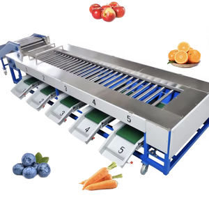Máquina Clasificadora Automática de Frutas y Verduras con Cinta Transportadora de Acero Inoxidable 304 para Coco, Fresa y Cereza, con Control PLC - Product Image 6