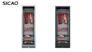 Refrigerator 380L Big Commercial Steak Dry Aging Refrierator Meat Steak Locker Aging Fridge Dry Ager Refrigerator