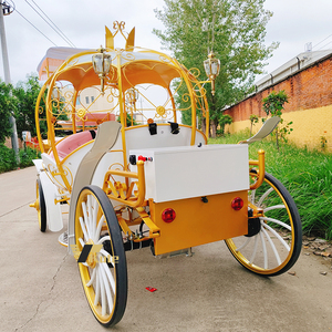 Chariot de Mariage Cendrillon Citrouille Rose Métallique - Transport Spécial à Vendre - Product Image 5