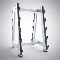 Banc d'exercice, équipement de gymnastique à domicile, demi-étagère, haltérophilie, haltères, banc de Fitness, assis, offre spéciale