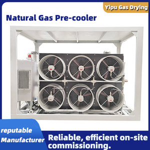 Cauda Gás Pré-Refrigerador Profissional Cauda Gás Refrigeração & Desidratação Seca Fabricante Equipamentos - Product Image 6