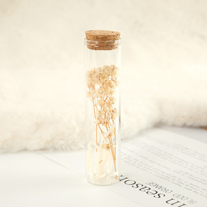 Mini flacon en verre en gros pour spécimens de roses séchées et gypsophile préservée, bouteille à vœux décorative, cadeau de Saint-Valentin - Product Image 4
