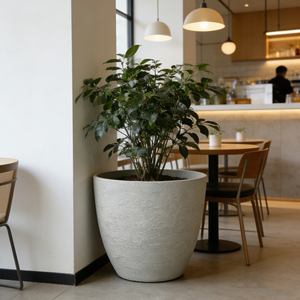 2026New Surface Stylish Gypsum-Textured Plastic Plant <strong>Pots</strong> Large Size Round Urn Planter Macetas Grandes Para <strong>Plantas</strong> Indoor - Product Image 2